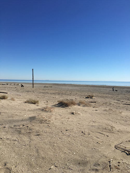 Salton Sea Area - 2015-2020 Photos